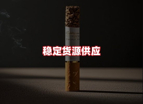 专业团队